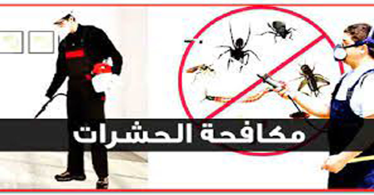 اسعار شركة رش مبيدات بعيون الجواء