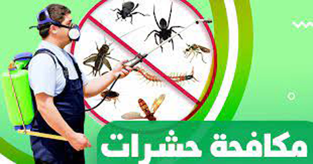 اسعار شركة مكافحة حشرات بعنيزة